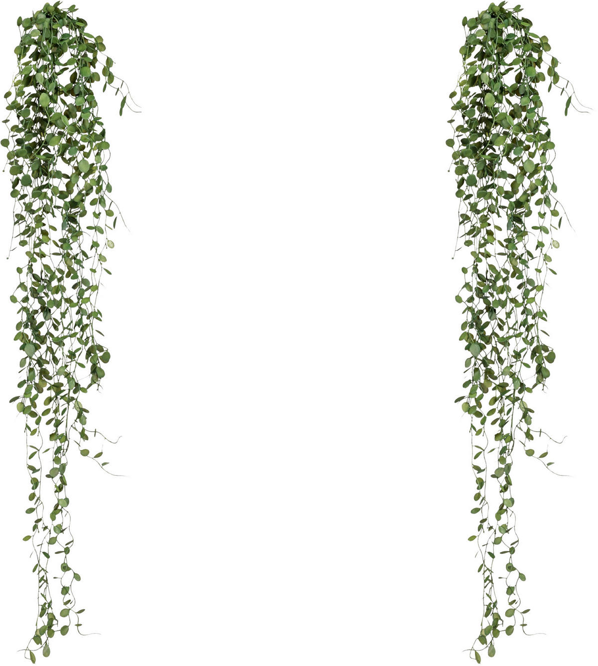 KUNSTPFLANZE 80 cm  - Dunkelgrün, Design, Kunststoff (80cm) - P & B