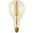 LED-LEUCHTMITTEL 11 W - Goldfarben, Basics, Glas/Metall (16/32cm) LED-LEUCHTMITTEL 11 W - Goldfarben, Basics, Glas/Metall (16/32cm)