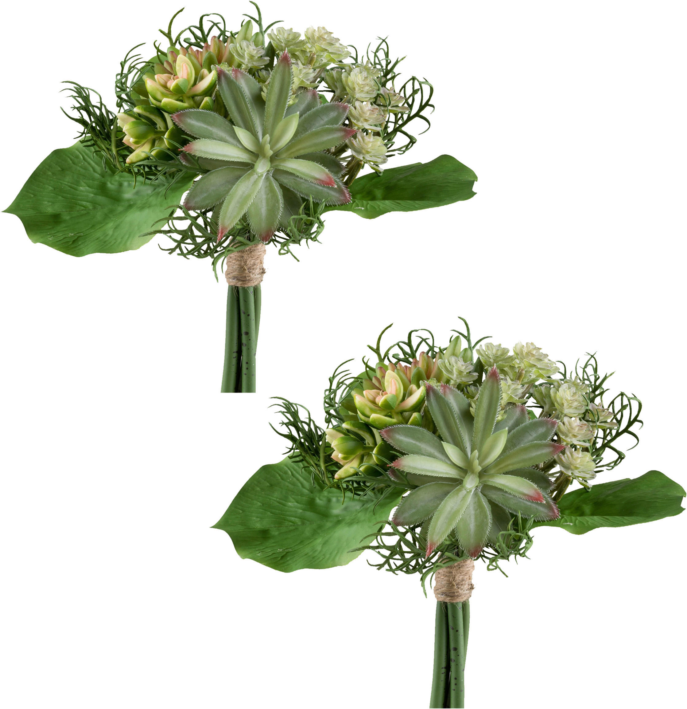 KUNSTPFLANZE Sukkulente 24 cm  - Rosa/Grün, Design, Kunststoff (24cm) - P & B