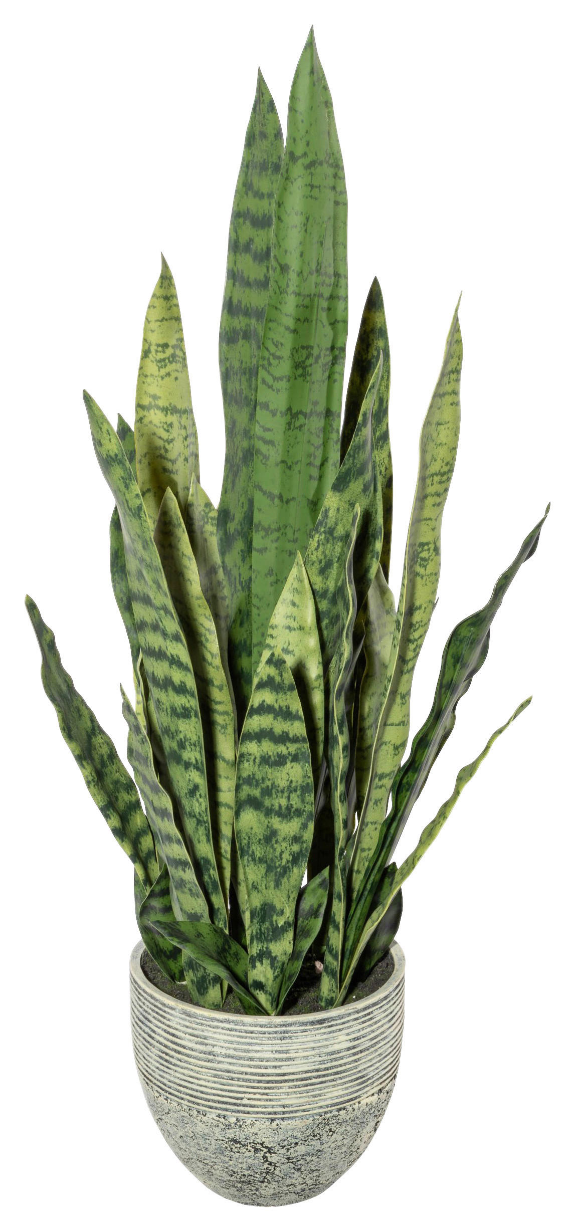 KUNSTPFLANZE Sukkulente 70 cm  - Gelb/Grau, Design, Kunststoff (70cm) - P & B