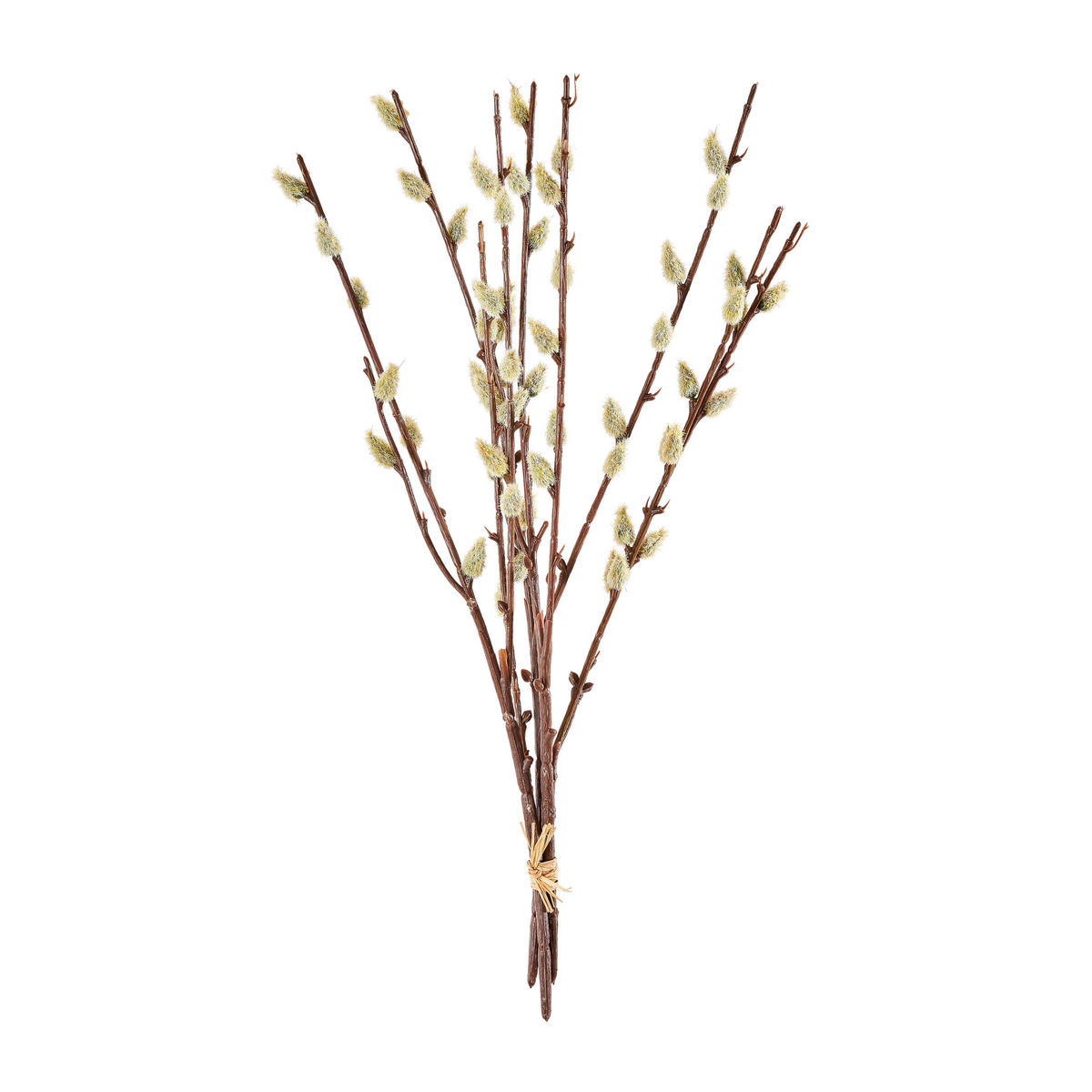 DEKOZWEIG  - Braun, LIFESTYLE, Kunststoff (42cm)