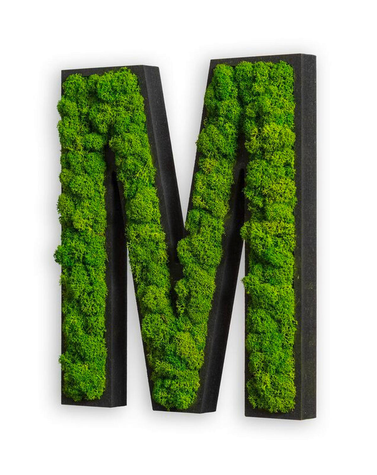 MOOSBILD Stylegreen  - Schwarz/Grün, Basics, Naturmaterialien/Holz (25/21/4cm)