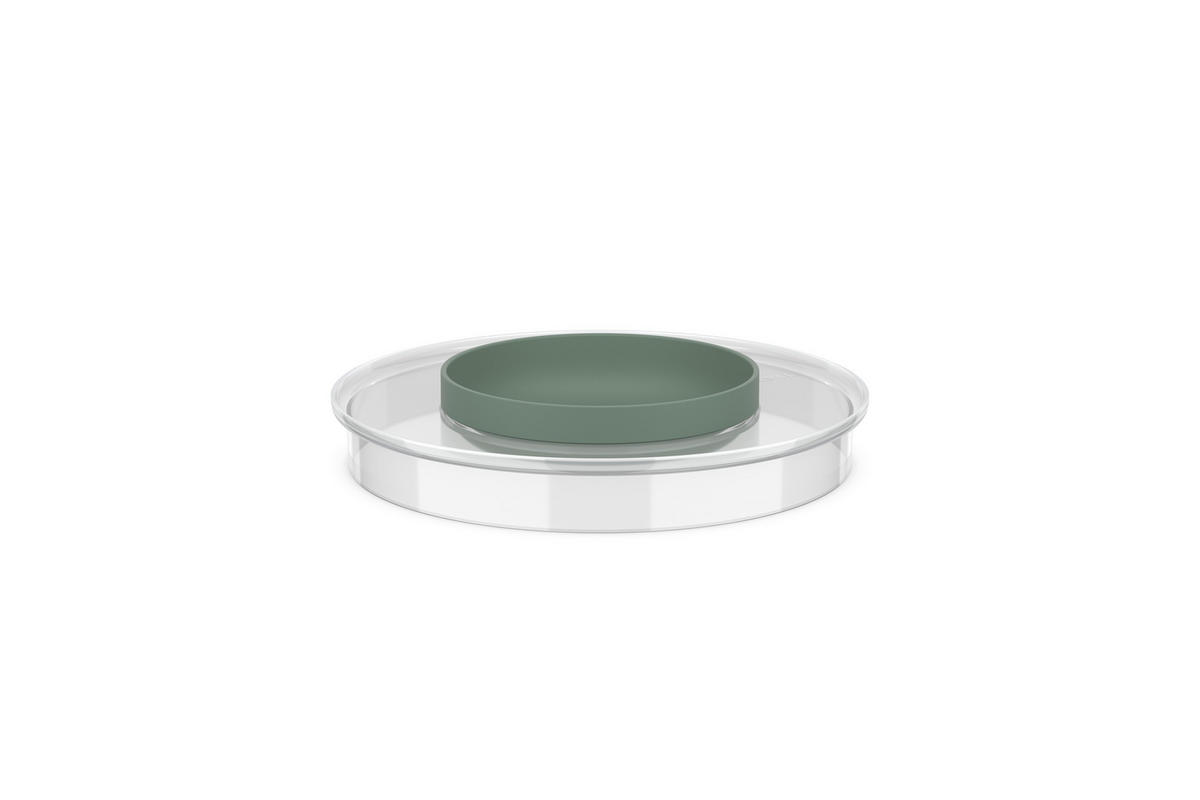 OCHRANNÉ SÍTO PROTI PRSKÁNÍ - šalvějově zelená/průhledné, Konvenční, plast (22,3cm) - Mepal