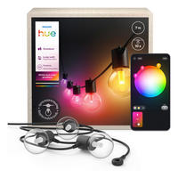 LICHTERKETTE  - Schwarz, Basics, Metall (5,8/10,6/700cm) - Philips HUE