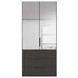 DREHTÜRENSCHRANK 101/235/61 cm,  in Graphitfarben, 2-türig  - Graphitfarben, Basics, Glas/Holzwerkstoff (101/235/61cm) - Novel