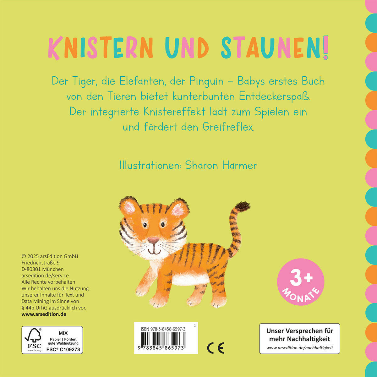 BILDERBUCH  - Multicolor, Basics, Papier (16,6/16,4/1,6cm) - Carlsen