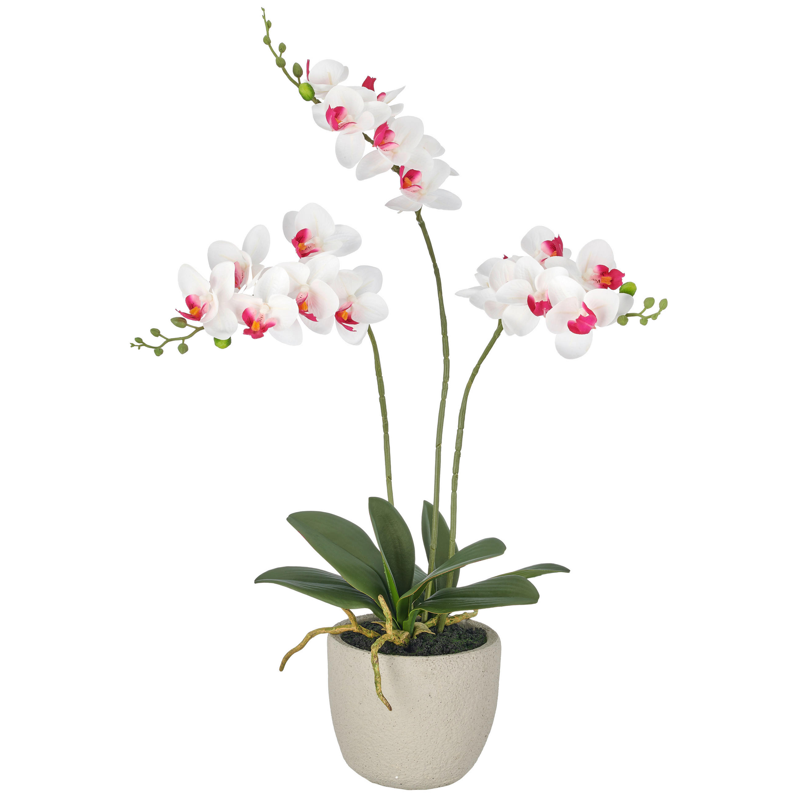 KUNSTBLUME - Hellgrau/Weiß, Basics, Kunststoff/Stein (60cm)