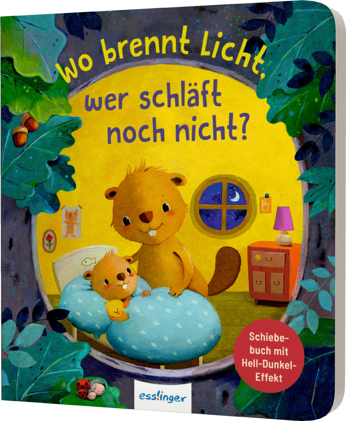 BILDERBUCH Wo brennt Licht, wer schläft noch nicht?  - Basics (17,6/19,60/1,9cm)