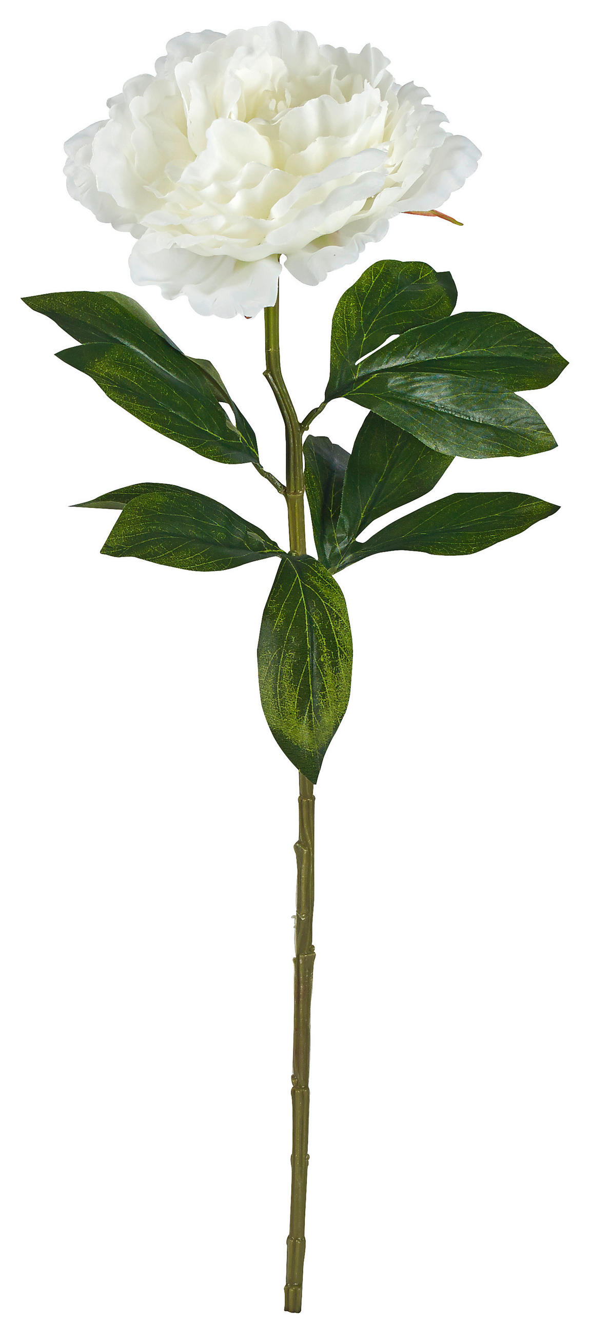 KONSTBLOMMA - cremefärgad, Basics, textil/plast (63cm)