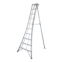 LEITER - Silberfarben, Basics, Metall (231/300/147cm) - Ambia Garden