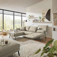ECKSOFA  in Flachgewebe Beige  175-224/255-365 cm  - Beige/Schwarz, Design, Textil/Metall (175-224/255-365cm) - Dieter Knoll