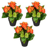 KUNSTPFLANZE Begonien 24 cm  - Schwarz/Orange, Design, Kunststoff (24cm) - P & B