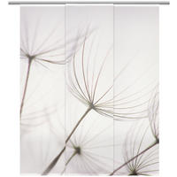 FLÄCHENVORHANG in Grau transparent  - Grau, Design, Textil (60/255cm) - Novel