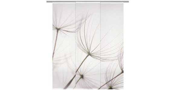 FLÄCHENVORHANG in Grau transparent - Grau, Design, Textil (60/255cm) - Novel