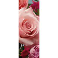 NON WOVEN-TAPET 100/280 cm  - rosa, Basics (100/280cm) - Komar