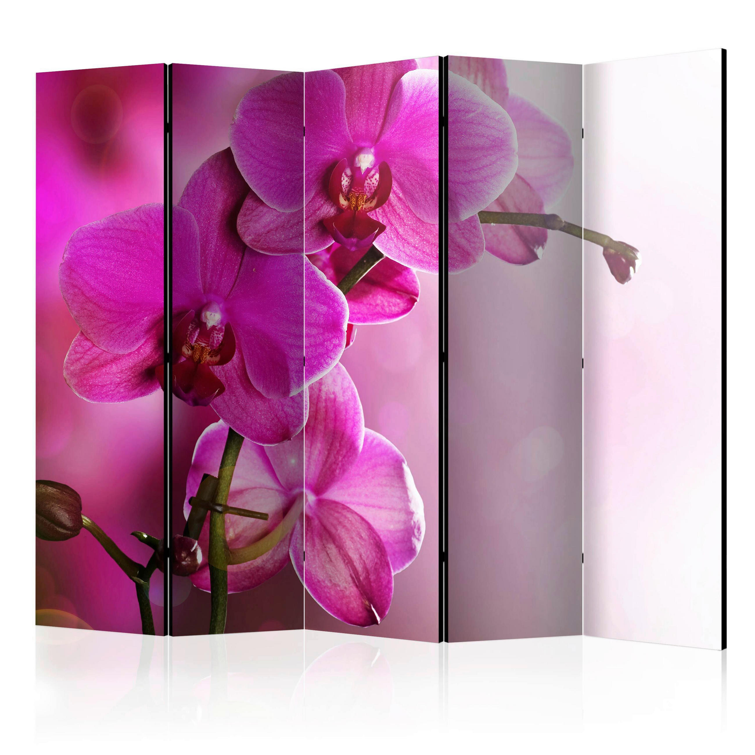 PARAVENT mit 5  Flügel - Beere/Magenta, Basics, Holz/Textil (225/172/3cm) - artgeist