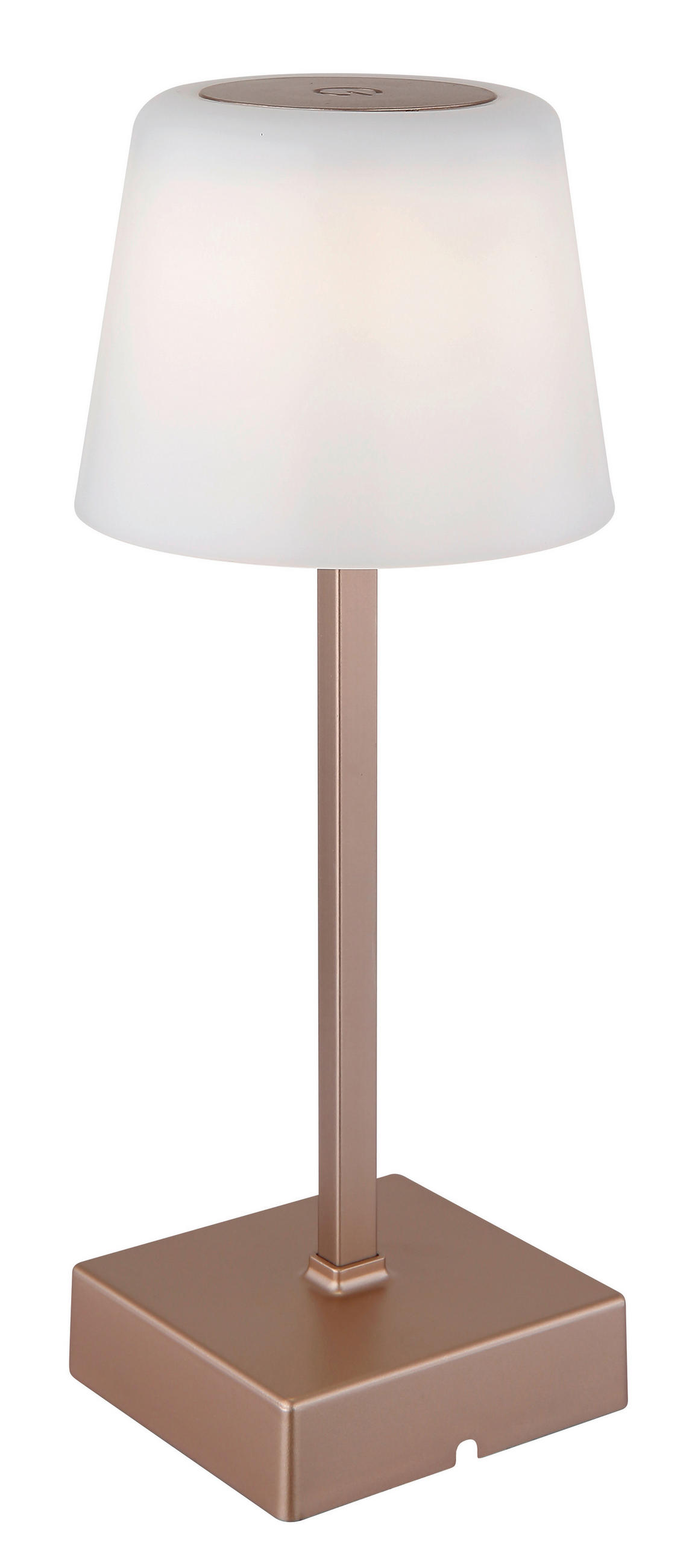 STOLNA PUNJIVA SVJETILJKA XAYDEN  - crna/boje šampanjca, Basics, metal/plastika (8,5/25,5cm)