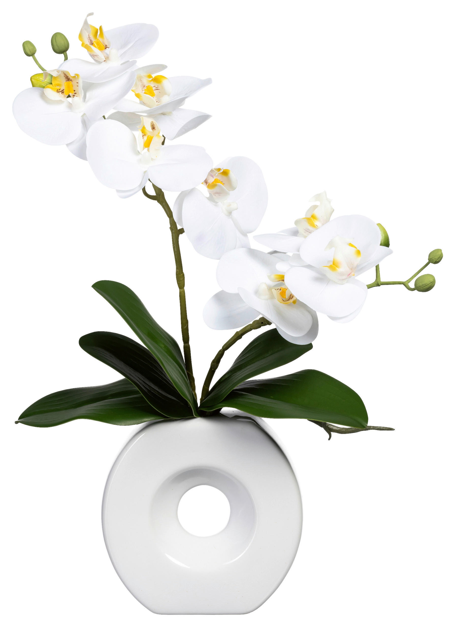 KUNSTPFLANZE Orchidee 35 cm - Weiß/Grün, Design, Keramik/Kunststoff (35cm) - P & B