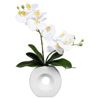 KUNSTPFLANZE Orchidee 35 cm  - Weiß/Grün, Design, Keramik/Kunststoff (35cm) - P & B