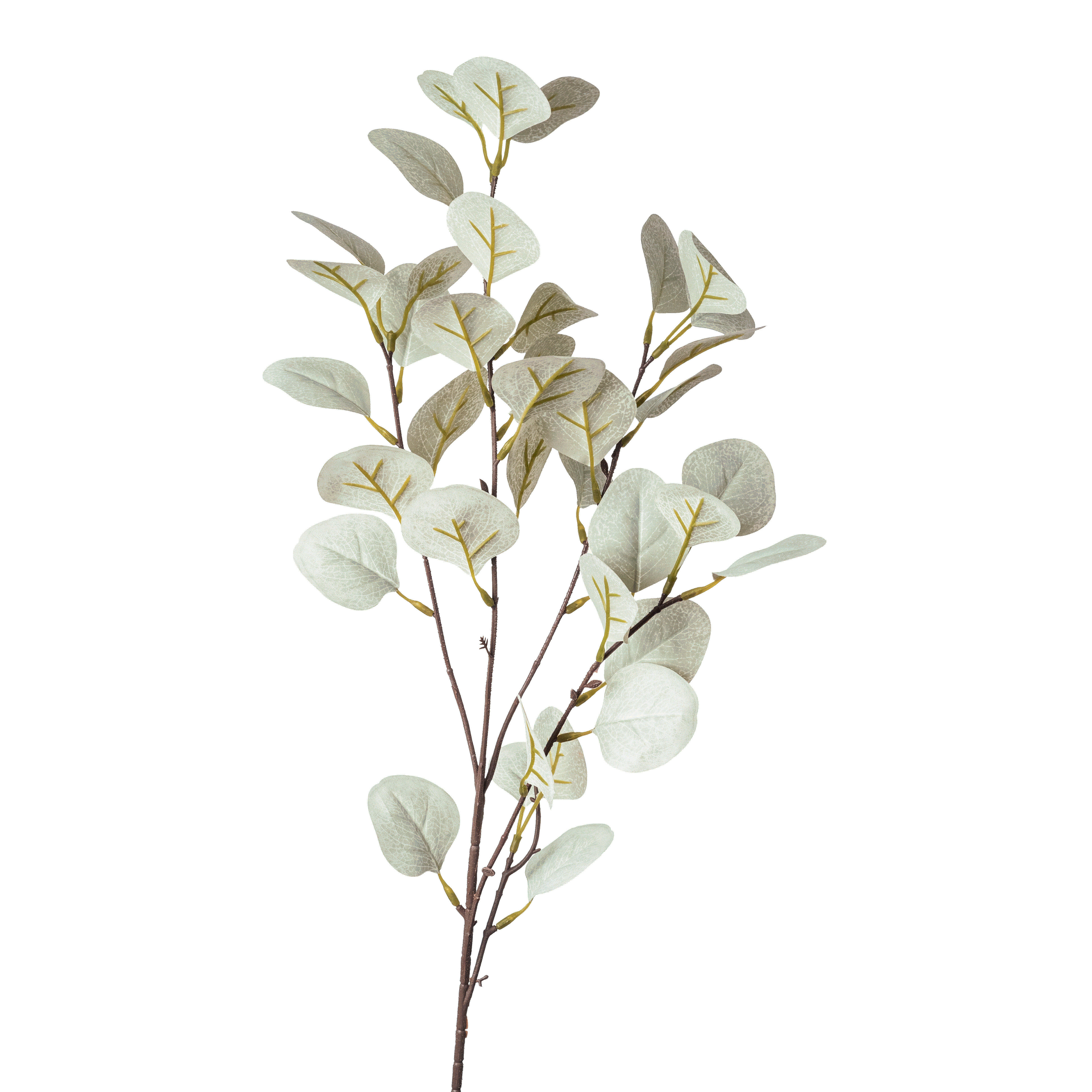 Levně DEKORAČNÍ VĚTVIČKA eukalyptus/blahovičník 73 cm
