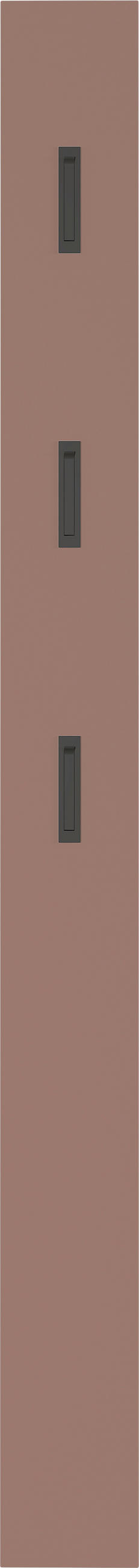 GARDEROBENPANEEL  in 15/170/3 cm  - Braun, Design, Holzwerkstoff (15/170/3cm)