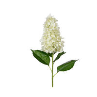 HORTENZIA - Basics (35,00/26,00/100,00cm)