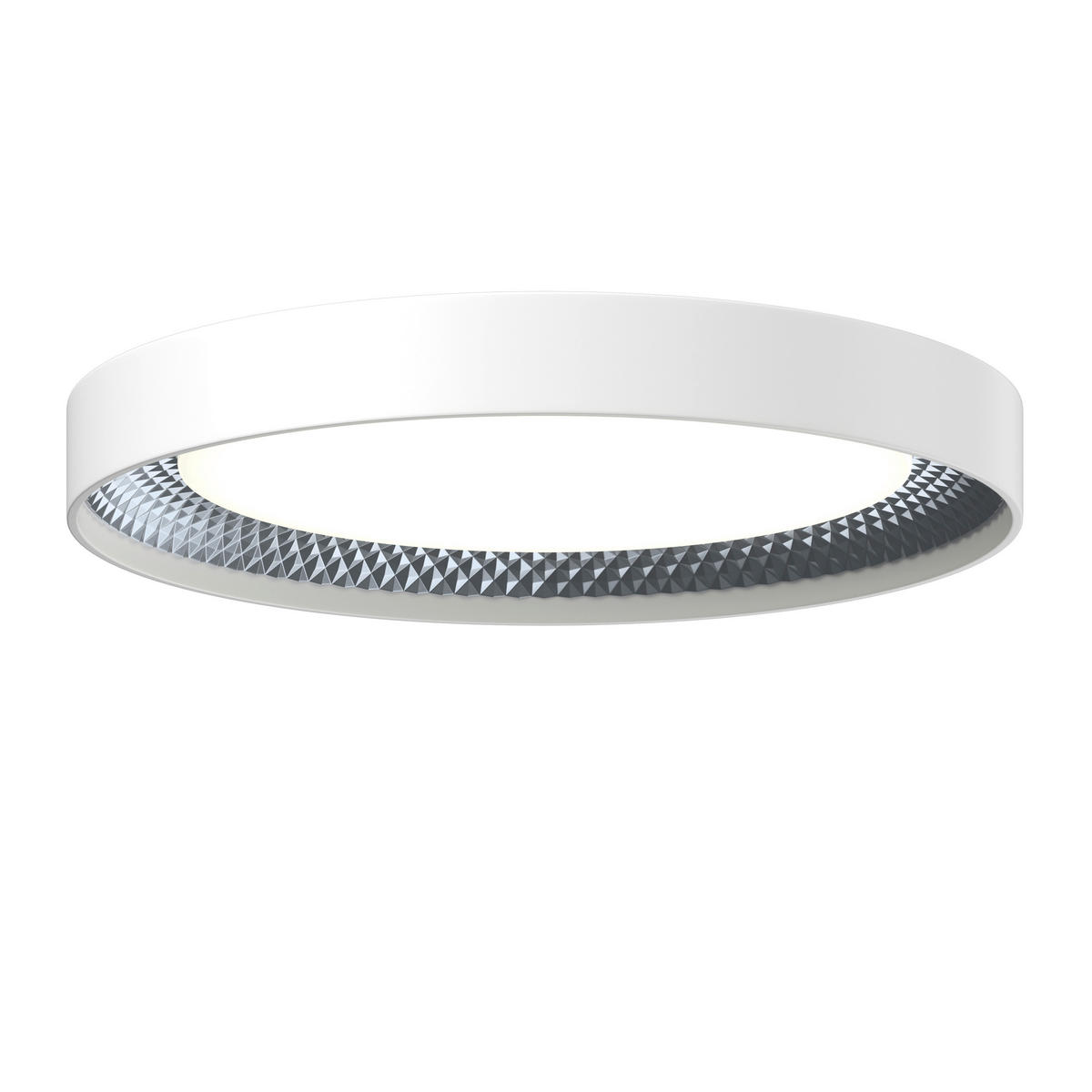 LED-DECKENLEUCHTE Ogulin 48,5/8 cm   - Hellgrau/Weiß, Design, Kunststoff (48,5/8cm) - Novel