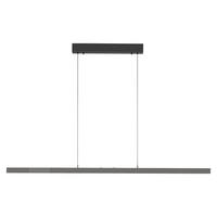LED-HÄNGELEUCHTE 179/55/150 cm  - Anthrazit, Design, Kunststoff/Metall (179/55/150cm)