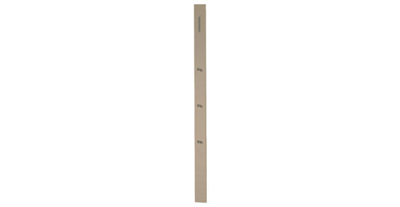 GARDEROBENPANEEL  in 10/165/3 cm  - Taupe, Design, Holzwerkstoff/Metall (10/165/3cm) - Moderano