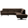 ECKSOFA in Echtleder Braun  286/258 cm  - Schwarz/Braun, Design, Leder/Metall (286/258cm) - Schöner Wohnen