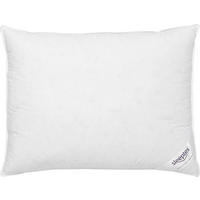 JASTUK PROŠIVENI 60/80 cm    - Basics (60/80cm) - Sleeptex