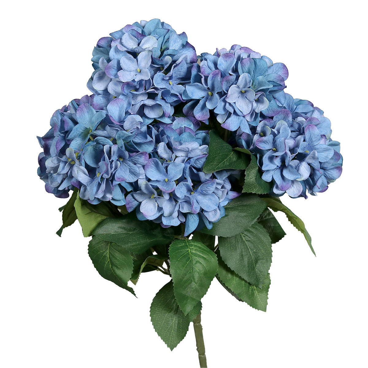 HORTENZIJA  - zelena/plava, Basics, tekstil/plastika (80cm)