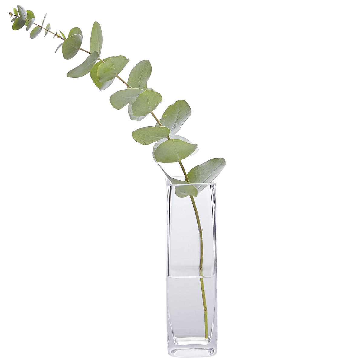 VÁZA, sklo, 19,5 cm - čiré, Basics, sklo (5,5/19,5/5,5cm)
