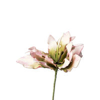 PROTEA protea 38 cm - bílá/růžová, Basics, plast (38cm)