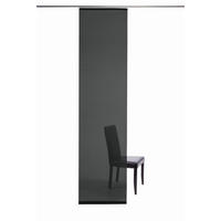FLÄCHENVORHANG in Schwarz transparent  - Schwarz, Basics, Textil (60/245cm)