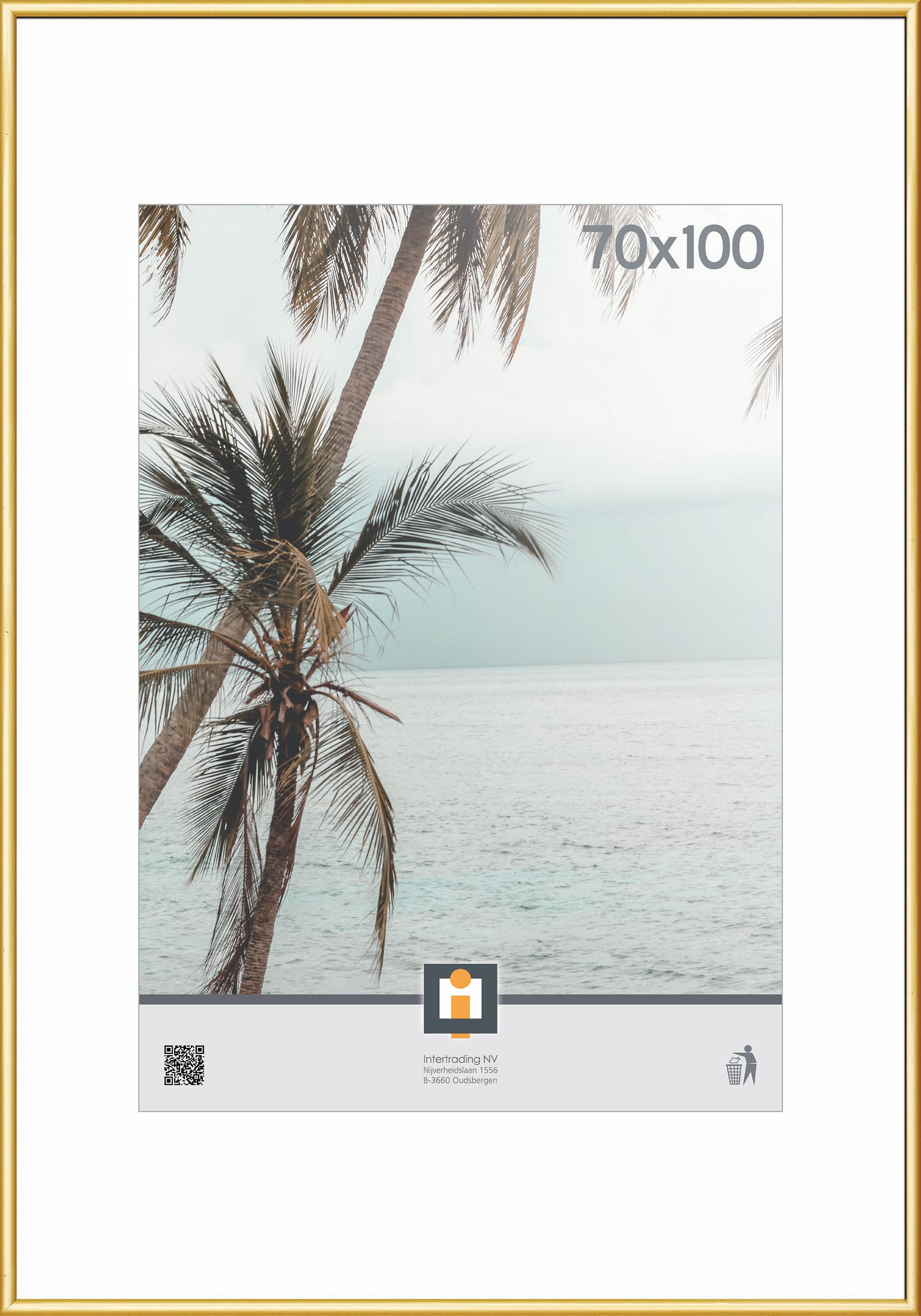 BILDERRAHMEN 70/100 cm  - Goldfarben, Basics, Glas/Kunststoff (70/100cm)
