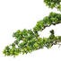 KUNSTPFLANZE Bonsai - Dunkelbraun/Grün, Kunststoff (55/53cm)