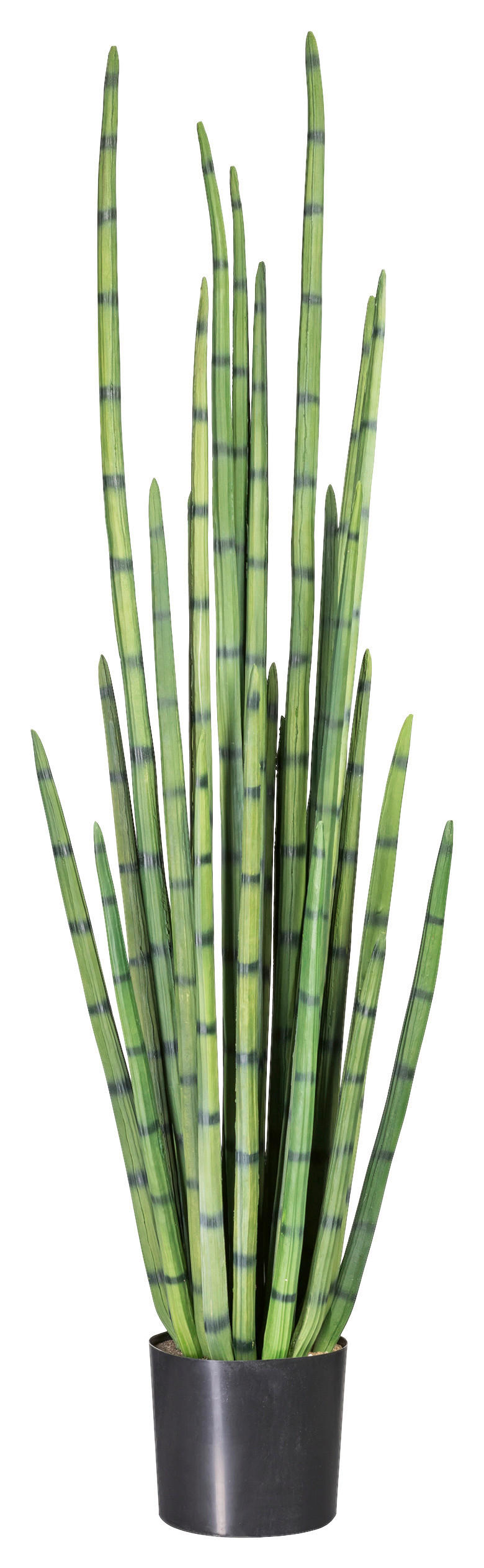 KUNSTPFLANZE 140 cm  - Schwarz/Grün, Design, Kunststoff (140cm) - P & B