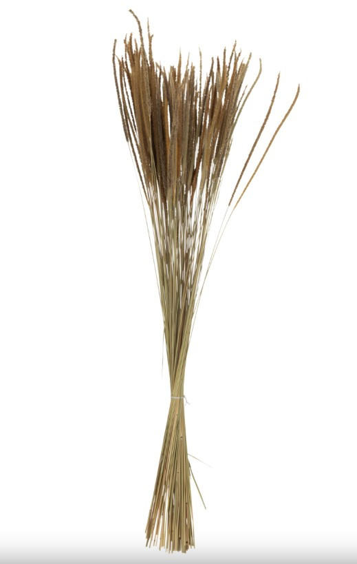 TROCKENBLUMENSTRAUß  - Naturfarben, Basics, Naturmaterialien (7,5/7,5/88cm)