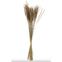 TROCKENBLUMENSTRAUß  - Naturfarben, Basics, Naturmaterialien (7,5/7,5/88cm)