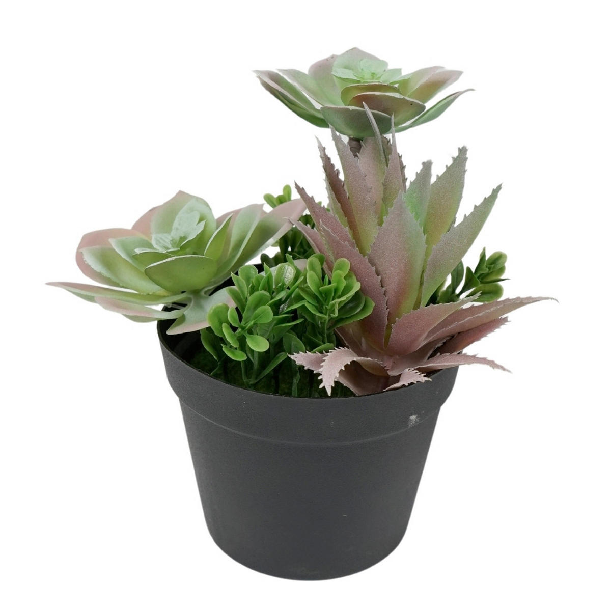 VEŠTAČKI CVET   11,5/11,5/18 cm           - zelena/crna, Osnovno, plastika (11,5/11,5/18cm)