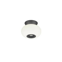 LED-DECKENLEUCHTE Sapo 20/14,5 cm   - Schwarz, Design, Glas/Metall (20/14,5cm) - Helestra