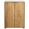 AKTENSCHRANK Eiche furniert, massiv Eichefarben  - Eichefarben, Natur, Holz/Holzwerkstoff (73/97/40cm) - Linea Natura