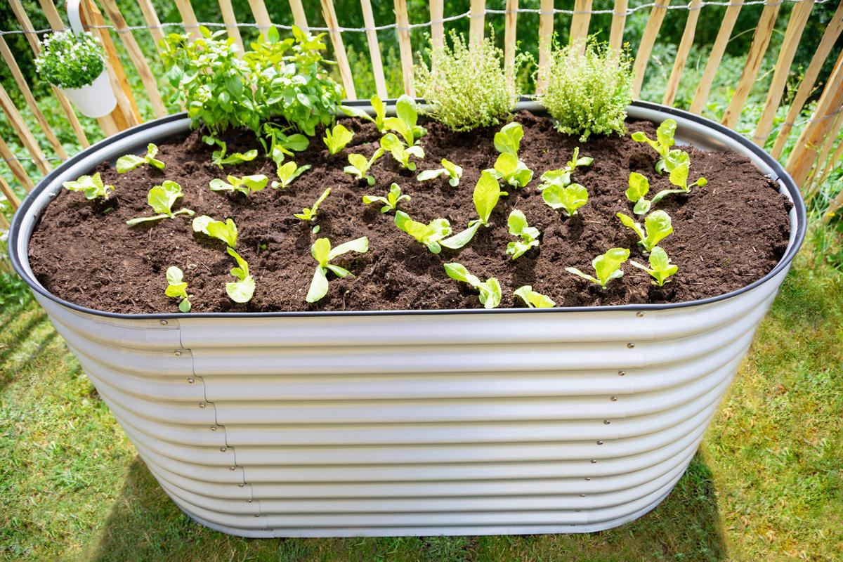 HOCHBEET 160/82/80 cm  - Silberfarben, Basics, Metall (160/82/80cm)
