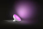 LED-TISCHLEUCHTE White Color Bloom 13/12,6 cm   - Weiß, Design, Kunststoff (13/12,6cm) - Philips HUE