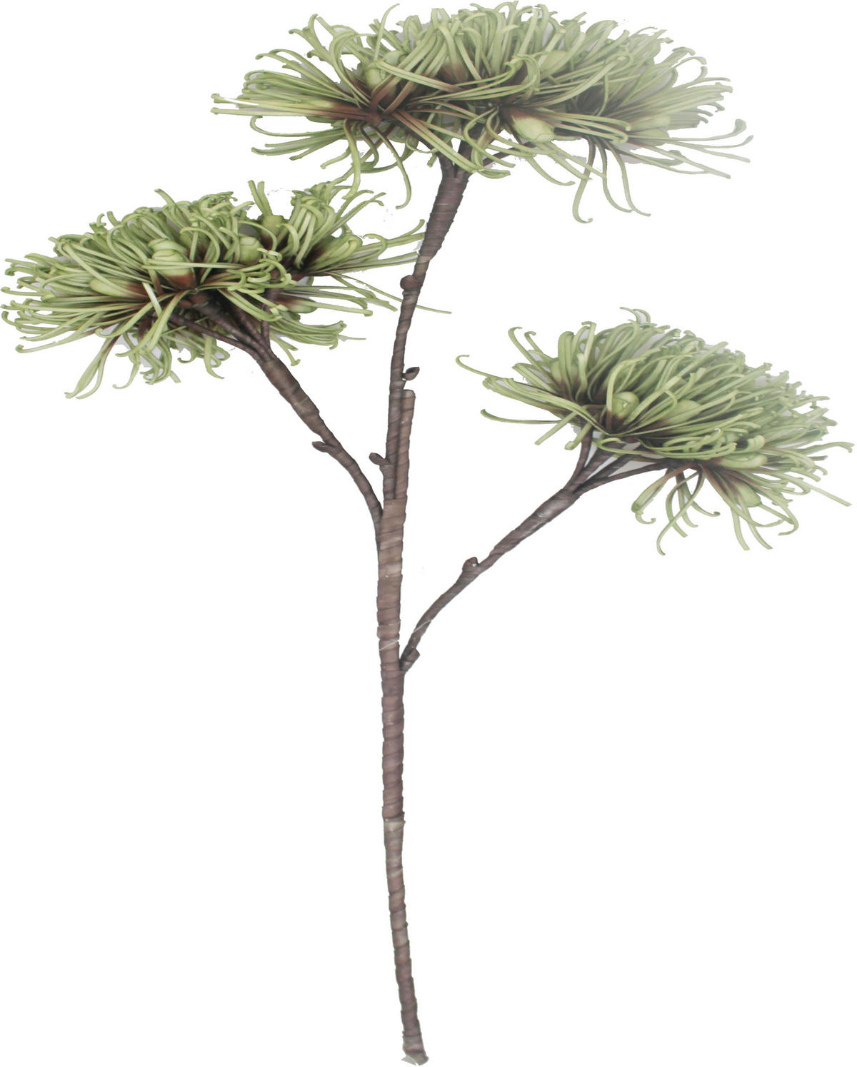 VEŠTAČKI CVET          92 cm    - zelena/braon, Osnovno, metal/plastika (92cm) - Ambia Home