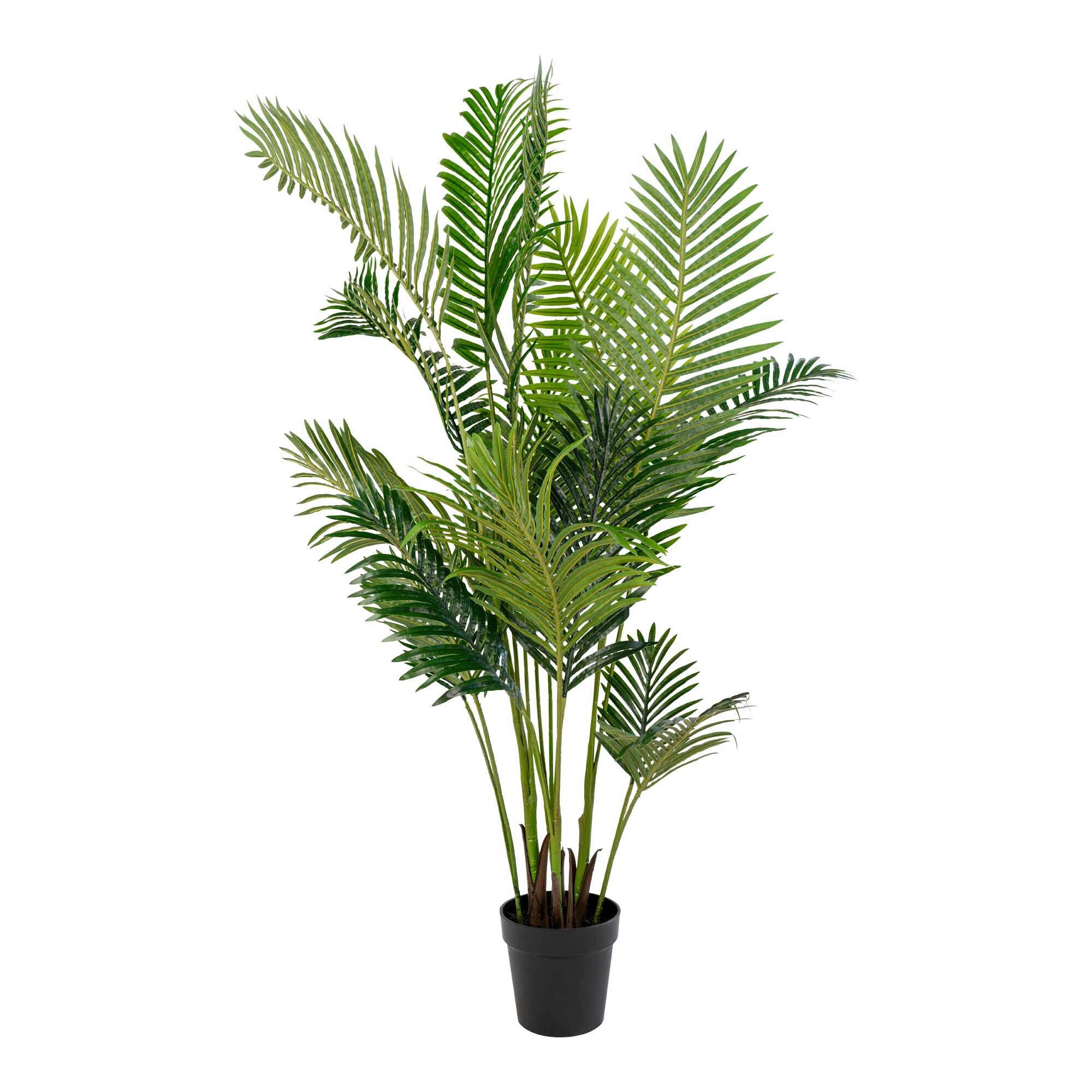 KUNSTPFLANZE Palme 175 cm - Schwarz/Grün, Basics, Kunststoff (175cm)