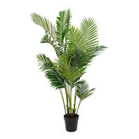 KUNSTPFLANZE Palme 175 cm  - Schwarz/Grün, Basics, Kunststoff (175cm)