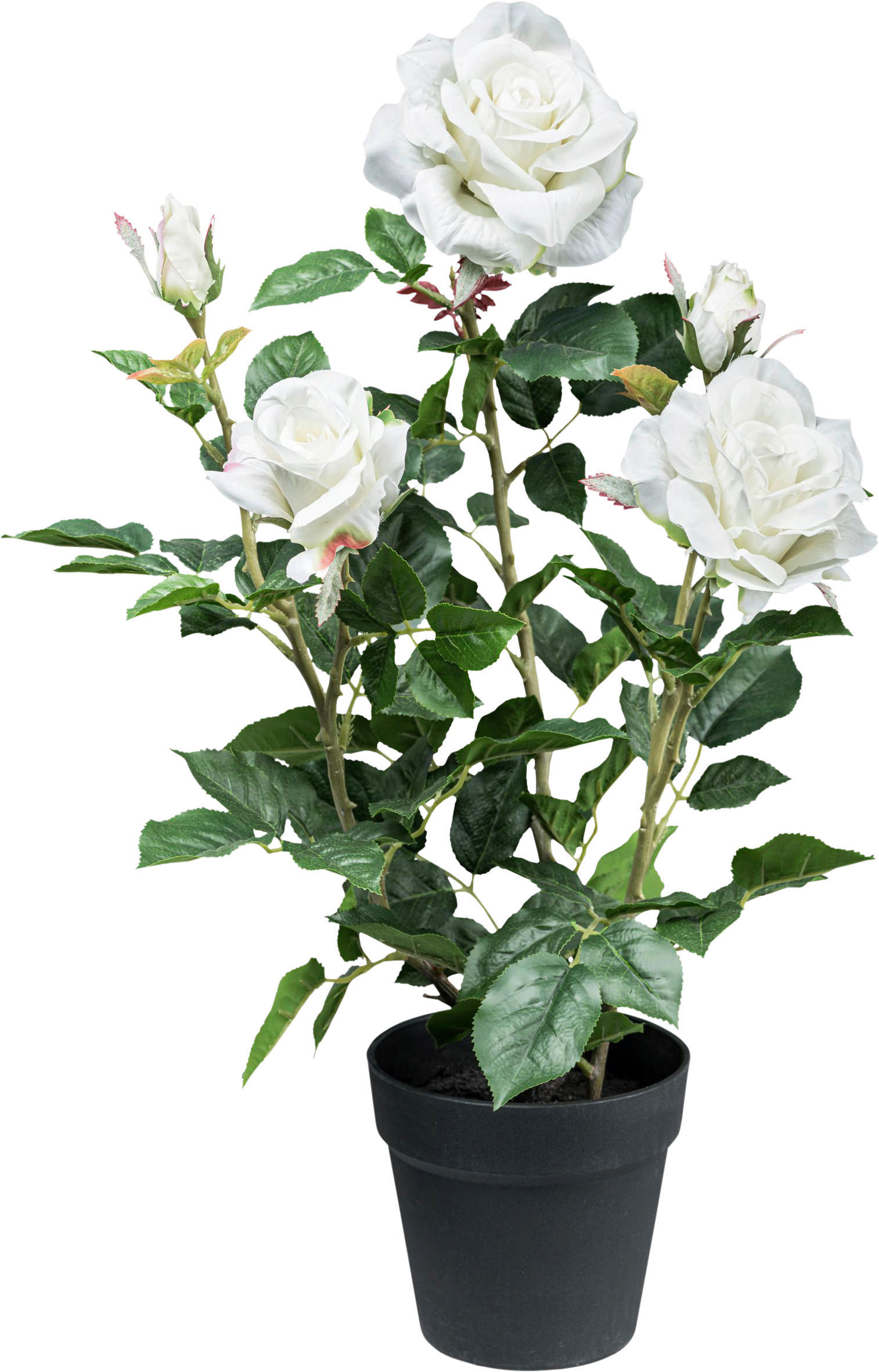 KUNSTPFLANZE Bonsai 58 cm  - Schwarz/Weiß, Design, Keramik/Kunststoff (58cm) - P & B