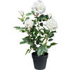 KUNSTPFLANZE Bonsai 58 cm  - Schwarz/Weiß, Design, Keramik/Kunststoff (58cm) - P & B